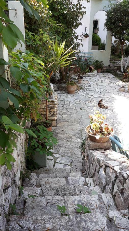 Kanoni Beach Apartments Λάκκα Εξωτερικό φωτογραφία